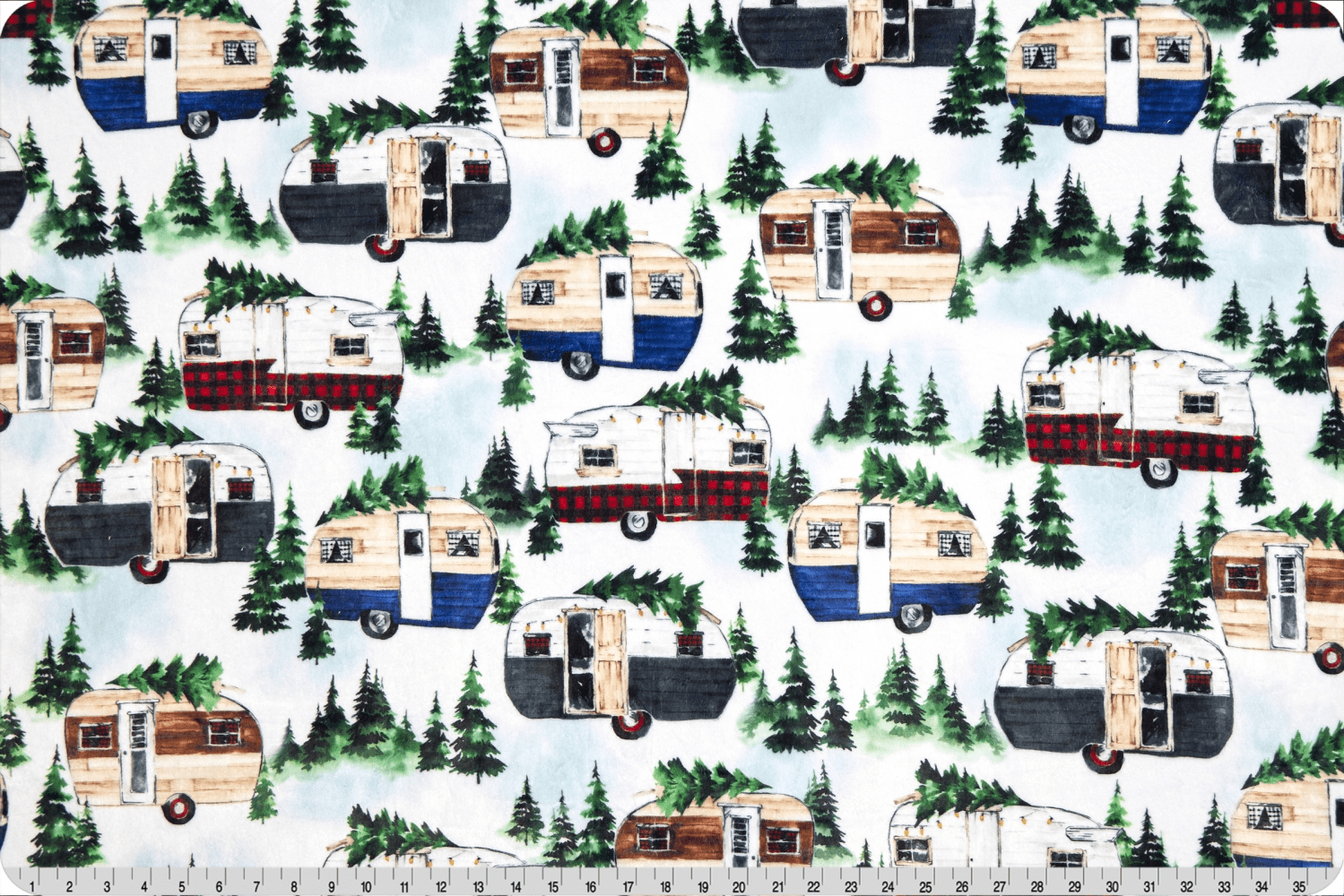 60" Wide Gone Camping Digital Cuddle Multi - dcgonecampingmulti - Shannon Fabrics - Nebraska Quilt Company - F09211
