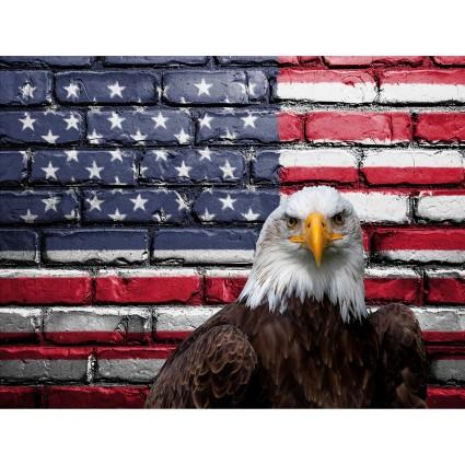 American Pride Panel Multi 25" x 19" - Nebraska Quilt Company - PAN2501703