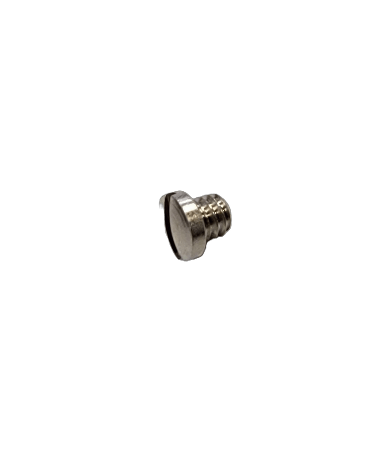 Bernina Stitch Plate Clamp Screws - Nebraska Quilt Company - PAR107787.50.00