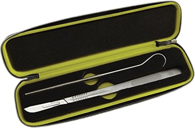 Bird's Nest Tool Kit - Nebraska Quilt Company - N261723