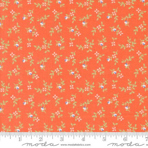 Cali & Co Vine and Bud Small Floral Melon Orange - 29192 34 - Moda Fabrics - Nebraska Quilt Company - F2400371
