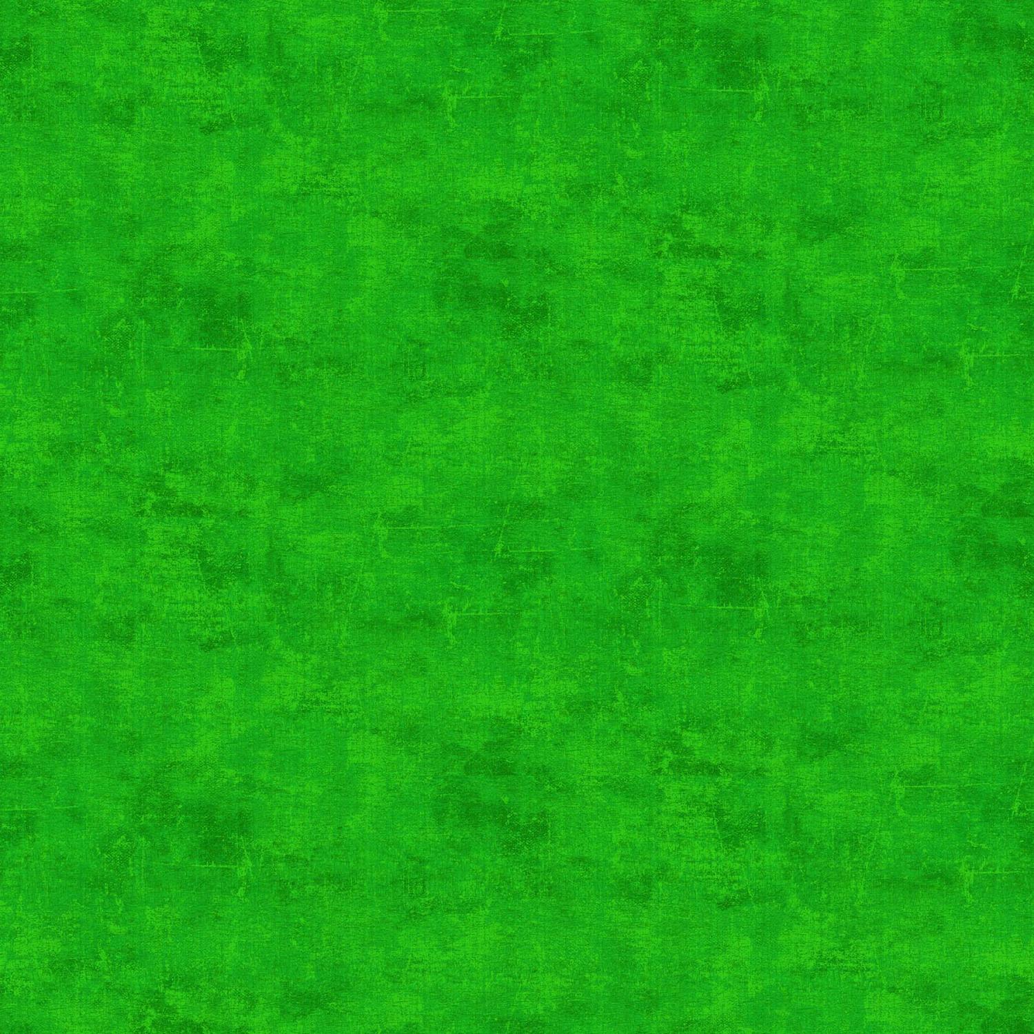 Canvas Astro Turf - 9030 - 74 - Northcott Fabrics - Nebraska Quilt Company - F02089