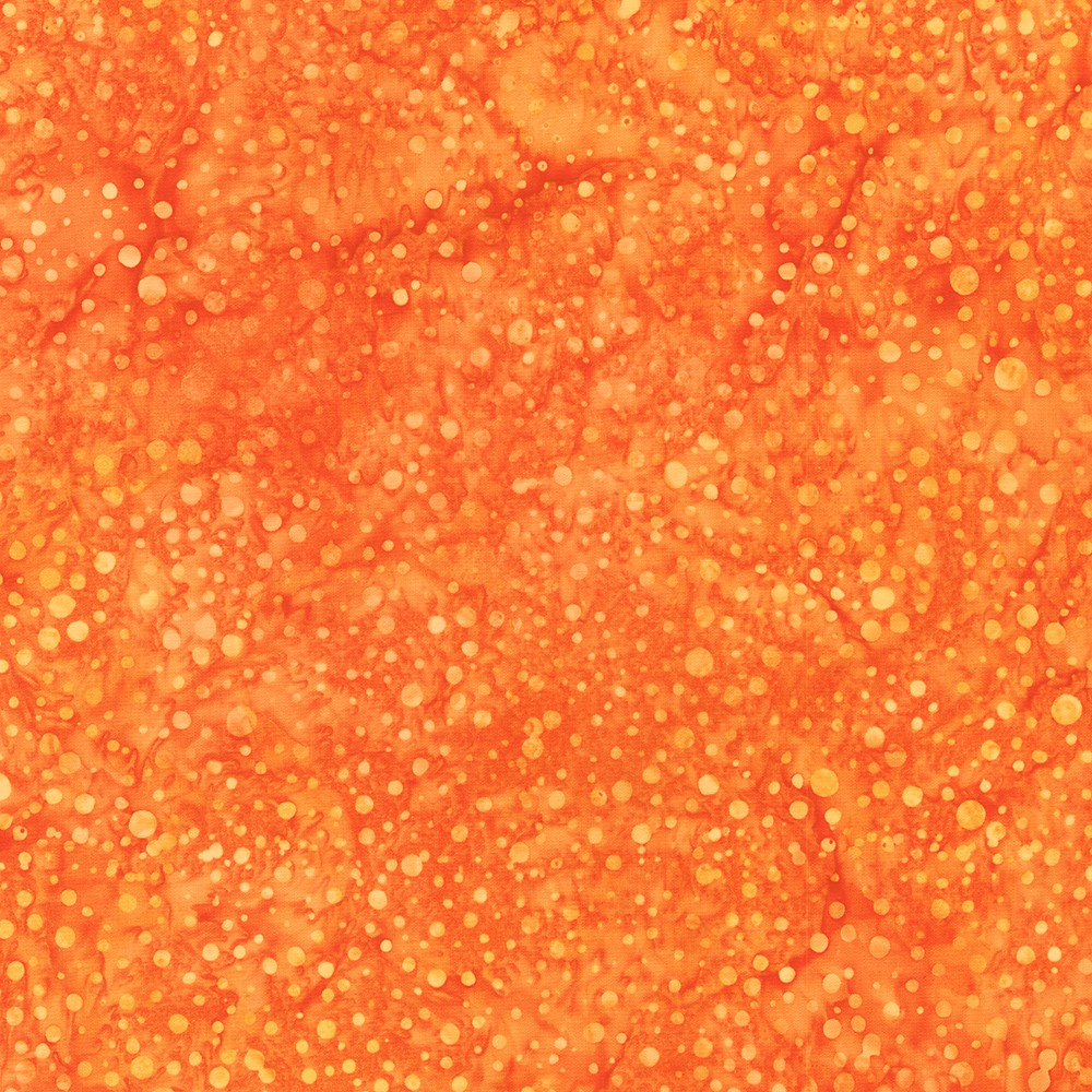 Dotted Goldfish - AMD - 22660 - 369 - Robert Kaufman - Nebraska Quilt Company - F09833