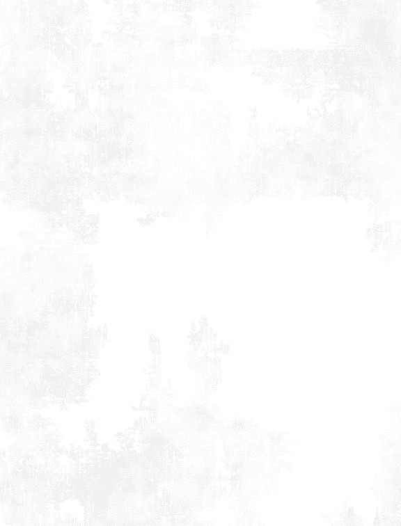 Dry Brush White on White - Nebraska Quilt Company - F06759