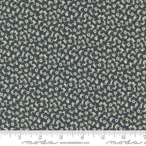 Goodnight Irene Ripples Blenders Floral Graphite Black - 31703 19 - Moda Fabrics - Nebraska Quilt Company - F2400635