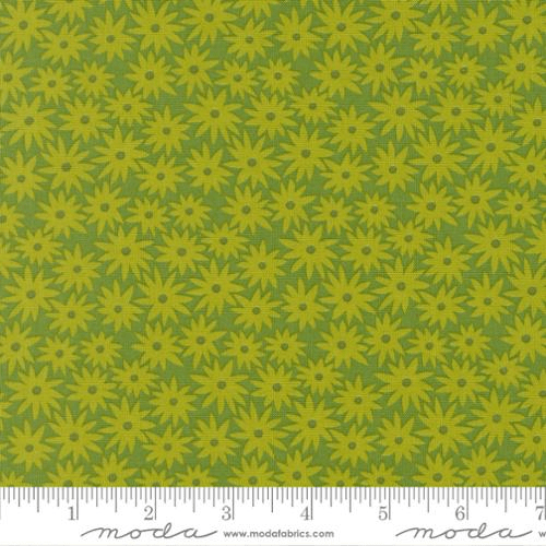 Home for Christmas Mistletoe Red Multi - DP28931-24 - Northcott Fabrics - Nebraska Quilt Company - F261342