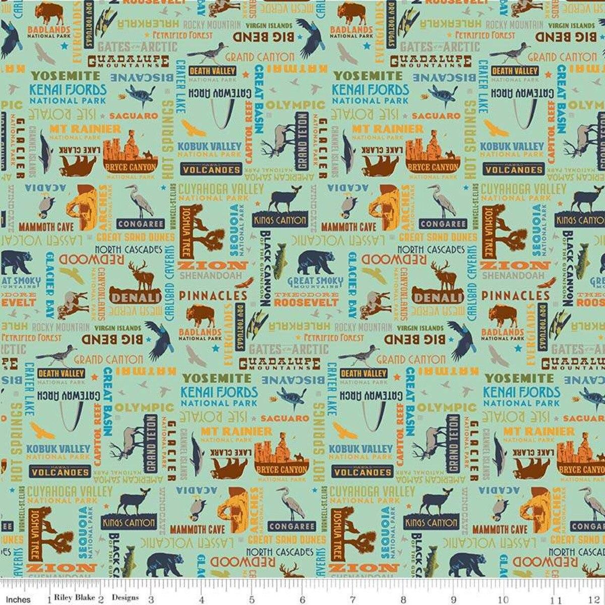 National Parks Word Print Sea Green - C8784 - SEAGREEN - Riley Blake Designs - Nebraska Quilt Company - F2401651