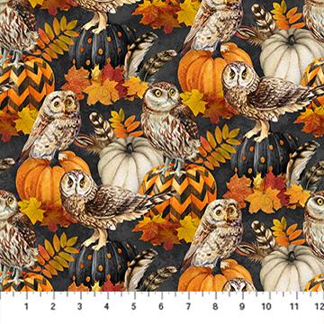 Night Owl Owl & Feather Charcoal Multi - DP28846 - 96 - Northcott Fabrics - Nebraska Quilt Company - F261107