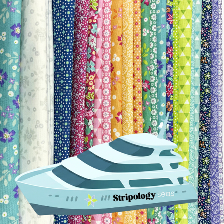 One Day Stripology Retreat Sat Sept 19, 2026 - Nebraska Quilt Company - Vibrance