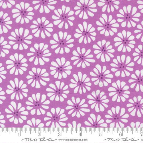 Pick Me Lazy Daisy Lilac Purple - 22491 19 - Moda Fabrics - Nebraska Quilt Company - F251325