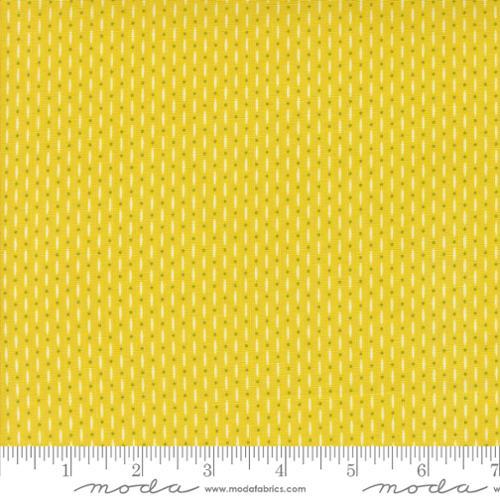 Raspberry Summer Beaded Blenders Summer Yellow - 37696 26 - Moda Fabrics - Nebraska Quilt Company - F2401314