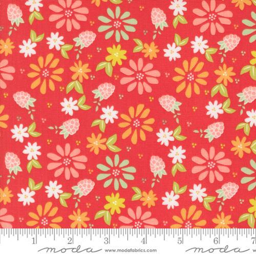 Raspberry Summer Spring Berries Florals Raspberry Multi - 37690 13 - Moda Fabrics - Nebraska Quilt Company - F2401286
