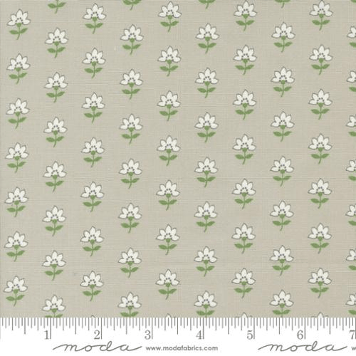 Shoreline Coastal Florals Grey - 55301 16 - Moda Fabrics - Nebraska Quilt Company - F07193