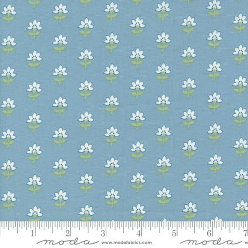 Shoreline Coastal Florals Light Blue - 55301 12 - Moda Fabrics - Nebraska Quilt Company - F07190
