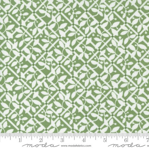 Shoreline Lattice Checks and Plaids Blender Green - 55303 15 - Moda Fabrics - Nebraska Quilt Company - F07201
