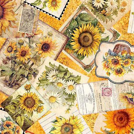 Sunflower Serenade Sunflower Ephemera - 2600 - 31802 - O - QT Fabrics - Nebraska Quilt Company - F260874