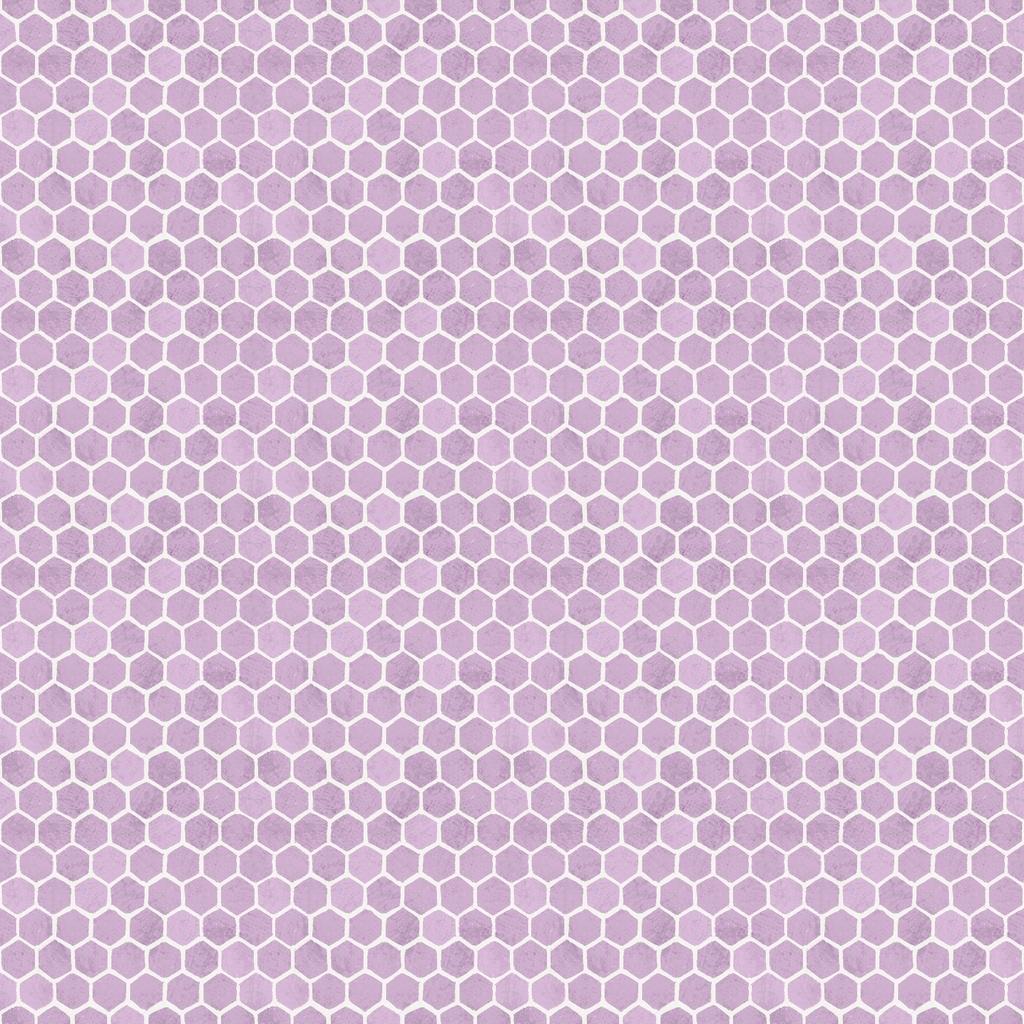 Sweet Honey Bee Honeycomb Purple - W115 - 012 - 120 - White Owl - Nebraska Quilt Company - F260422