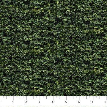 Naturescapes Moss Dark Green - 25499 - 79 - Northcott Fabrics - Nebraska Quilt Company - F06439