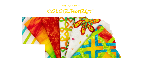 Color Burst from Blank Quilting Co.