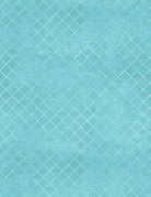 108" Wide Essentials Trellis Light Teal - Nebraska Quilt Company - F83423