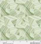 108" Wide Geode Green Remnant 36" x 108" - 5318 G - P & B Textiles - Nebraska Quilt Company - PC260888