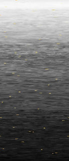 108" Wide Go with the Flow Iron Gray - 8834 - 94 - Studio E Fabrics - Nebraska Quilt Company - 108" Wide Go with the Flow Iron Gray - 8834 - 94 - Studio E Fabrics