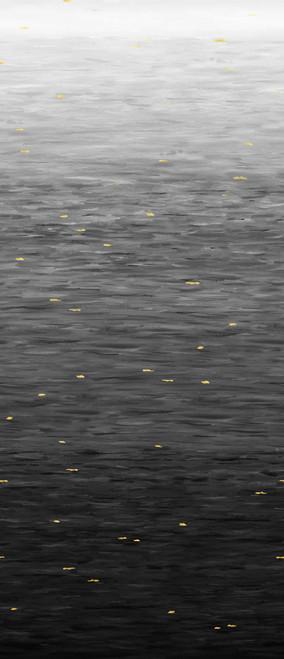 108" Wide Go with the Flow Iron Gray - 8834 - 94 - Studio E Fabrics - Nebraska Quilt Company - 108" Wide Go with the Flow Iron Gray - 8834 - 94 - Studio E Fabrics