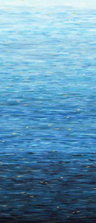 108" Wide Go with the Flow Sapphire Blue - 8834-75 - Studio E Fabrics - Nebraska Quilt Company - F251778