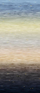 108" Wide Go with the Flow Slate Multi - 8834 - 79 - Studio E Fabrics - Nebraska Quilt Company - 108" Wide Go with the Flow Slate Multi - 8834 - 79 - Studio E Fabrics