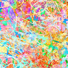 108" Wide Got Your Back Abstract Multi Remnant 46" x 108" - 1899 - 29253 - X - QT Fabrics - Nebraska Quilt Company - PC261177
