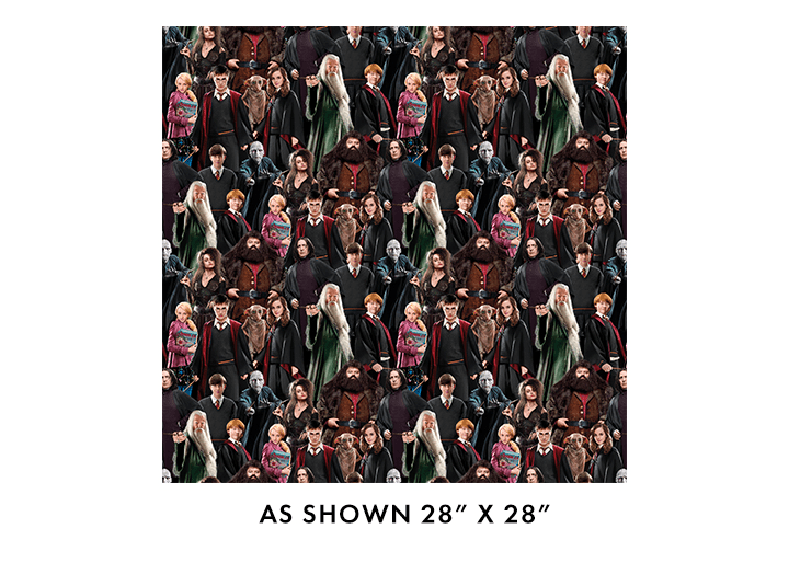 108" Wide Harry Potter Characters Multi - 15226W99B - Benartex - Nebraska Quilt Company - F2502265