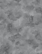 108" Wide Haze Dark Grey - 3066 4557 991 - Wilmington Prints - Nebraska Quilt Company - F2400020