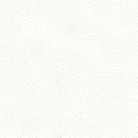 108" Wide Laurel Birch Dot White - CLTY4929-1 - Clothworks - Nebraska Quilt Company - F261860