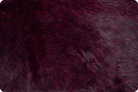 60" Wide Luxe Cuddle Teddy Cherry Bear - lcteddycherrybear - Shannon Fabrics - Nebraska Quilt Company - F261165