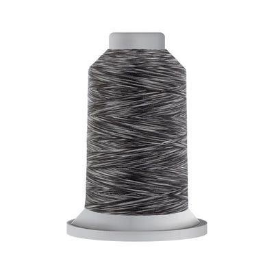 60461 Zebra Variegated 40wt Affinity Thread 3,000 Yards - Nebraska Quilt Company - NT2402627