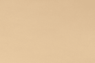 90" Wide Cuddle 3 Latte - c390latte - Shannon Fabrics - Nebraska Quilt Company - F2502376