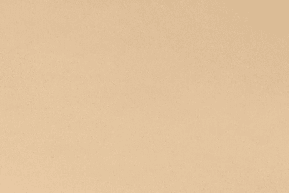 90" Wide Cuddle 3 Latte Remnant 47" x 90" - c390latte - Shannon Fabrics - Nebraska Quilt Company - 90" Wide Cuddle 3 Latte Remnant 47" x 90" - c390latte - Shannon Fabrics