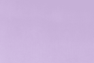 90" Wide Cuddle 3 Lavender - c390lavender - Shannon Fabrics - Nebraska Quilt Company - F2502374