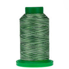 9805 Shades of Grass Variegated 40wt Isacord Thread 1000m - Nebraska Quilt Company - NT260085
