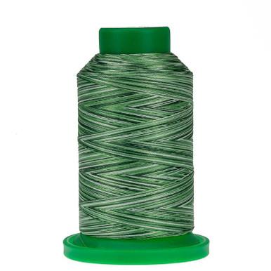 9805 Shades of Grass Variegated 40wt Isacord Thread 1000m - Nebraska Quilt Company - NT260085