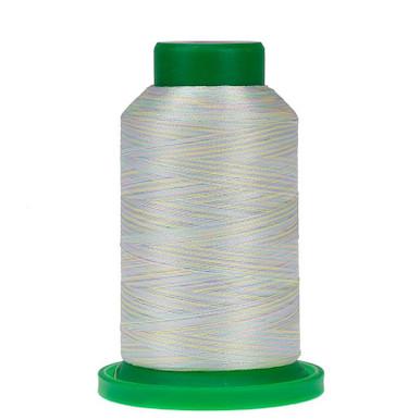 9909 Baby Girl Variegated 40wt Isacord Thread 1000m - Nebraska Quilt Company - NT260083