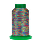 9916 Rainbow Variegated 40wt Isacord Thread 1000m - Nebraska Quilt Company - NT260076