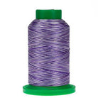 9921 Grape Crush Variegated 40wt Isacord Thread 1000m - Nebraska Quilt Company - NT260080