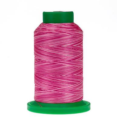 9923 Raspberries & Cream Variegated 40wt Isacord Thread 1000m - Nebraska Quilt Company - NT260086