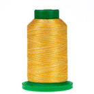 9925 Saffron Variegated 40wt Isacord Thread 1000m - Nebraska Quilt Company - NT260092