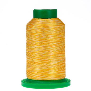 9925 Saffron Variegated 40wt Isacord Thread 1000m - Nebraska Quilt Company - NT260092