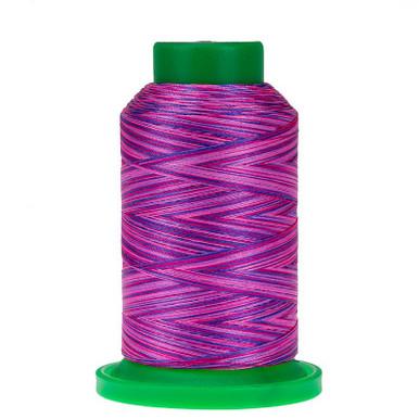 9973 Summer Peonies Variegated 40wt Isacord Thread 1000m - Nebraska Quilt Company - NT260078