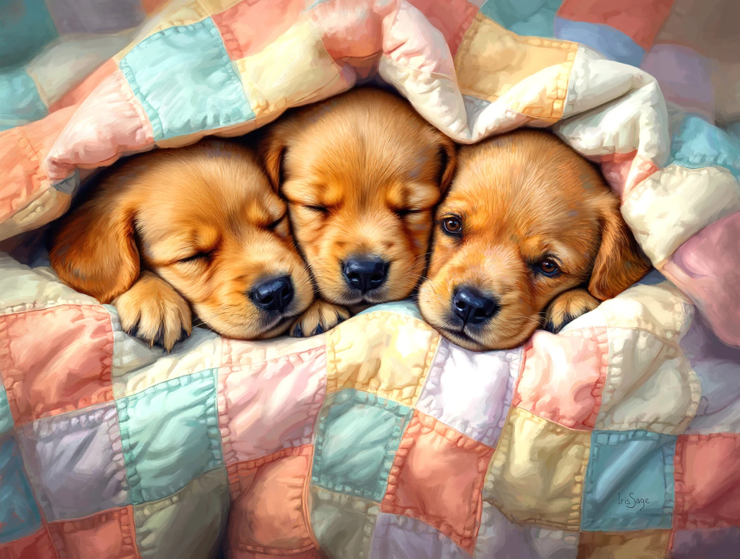 Adorable Pups Puzzle 300 Pieces - Nebraska Quilt Company - N261805