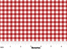 All KS NE Shop Hop 2025 Little Gingham Red - 1495910B - Benartex - Nebraska Quilt Company - F250355
