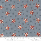 America 250 Years Tossed Stars Americana Steel Blue - 56181 16 - Moda - Nebraska Quilt Company - F260356